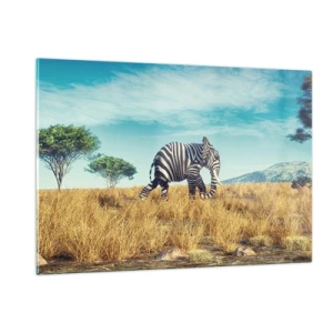Impression sur verre - Image sur verre - Un éléphant avec des rayures de zèbre dans la savane sous le ciel - 120x80cm - Le gris n'est déjà plus à la mode - Décoration murale moderne pour le salon et la chambre ARTTOR