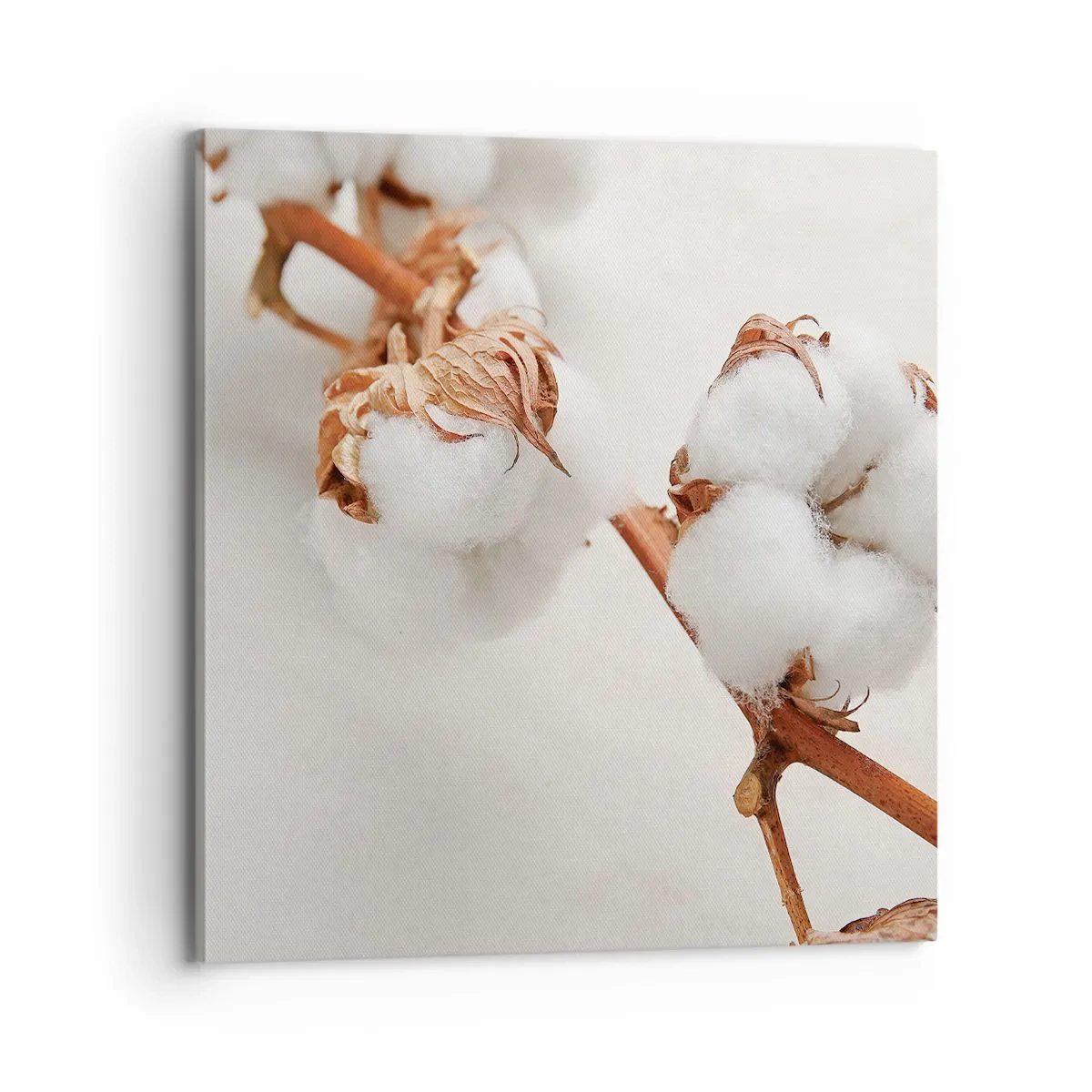 Impression sur toile - Image sur toile - Seulement caliner - 70x70 cm