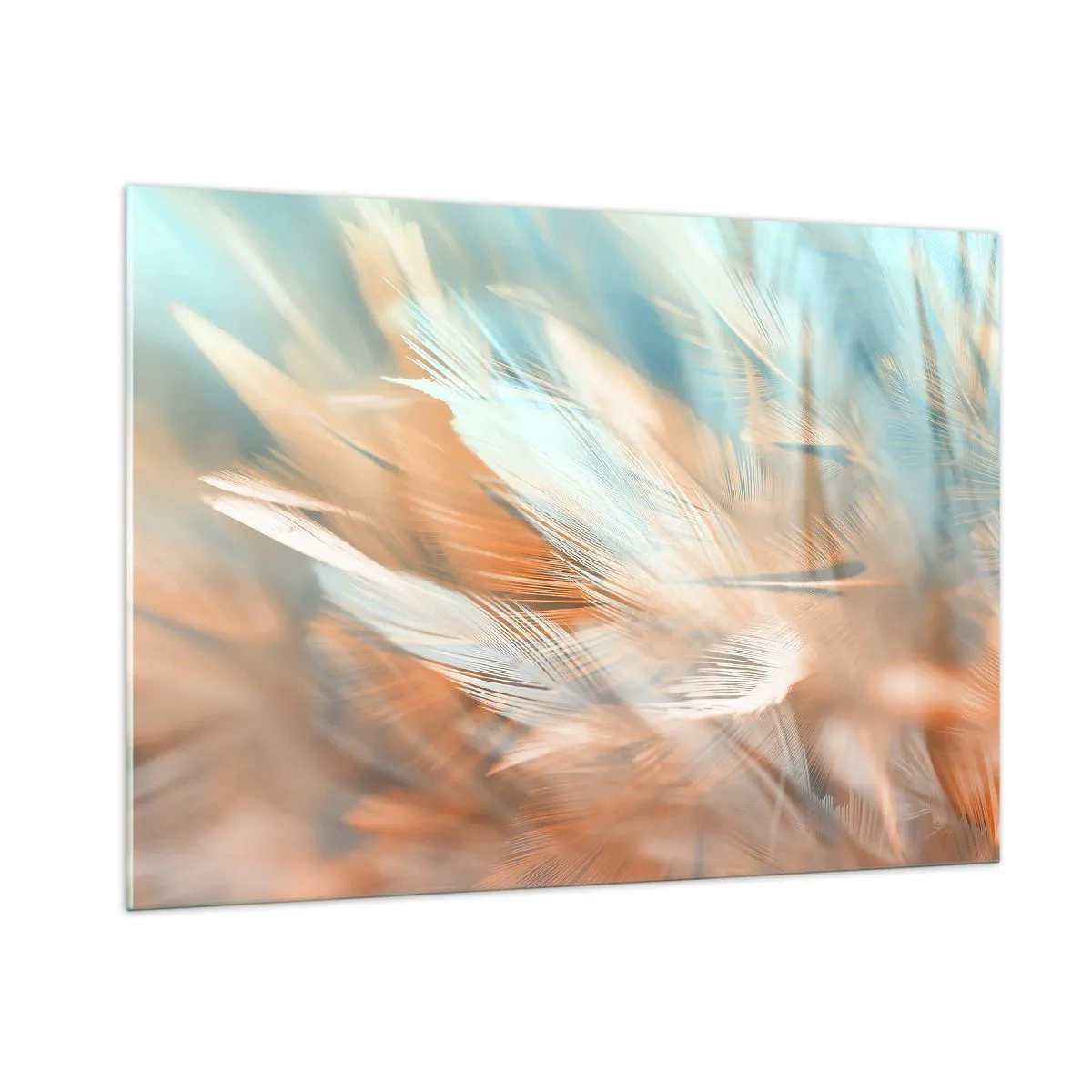 Impression sur verre - Image sur verre - Plumes délicates dans des tons pastel turquoise et pêche - 100x70cm - Au pays de la douceur - Décoration murale moderne pour le salon et la chambre ARTTOR