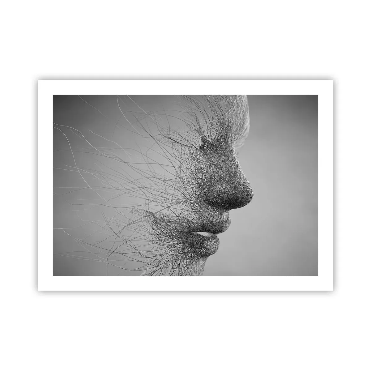 Affiche - Poster - L'esprit du vent - 70x50 cm