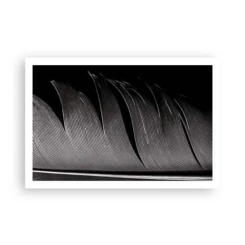 Affiche - Poster - La plume – un design magnifique - 91x61 cm