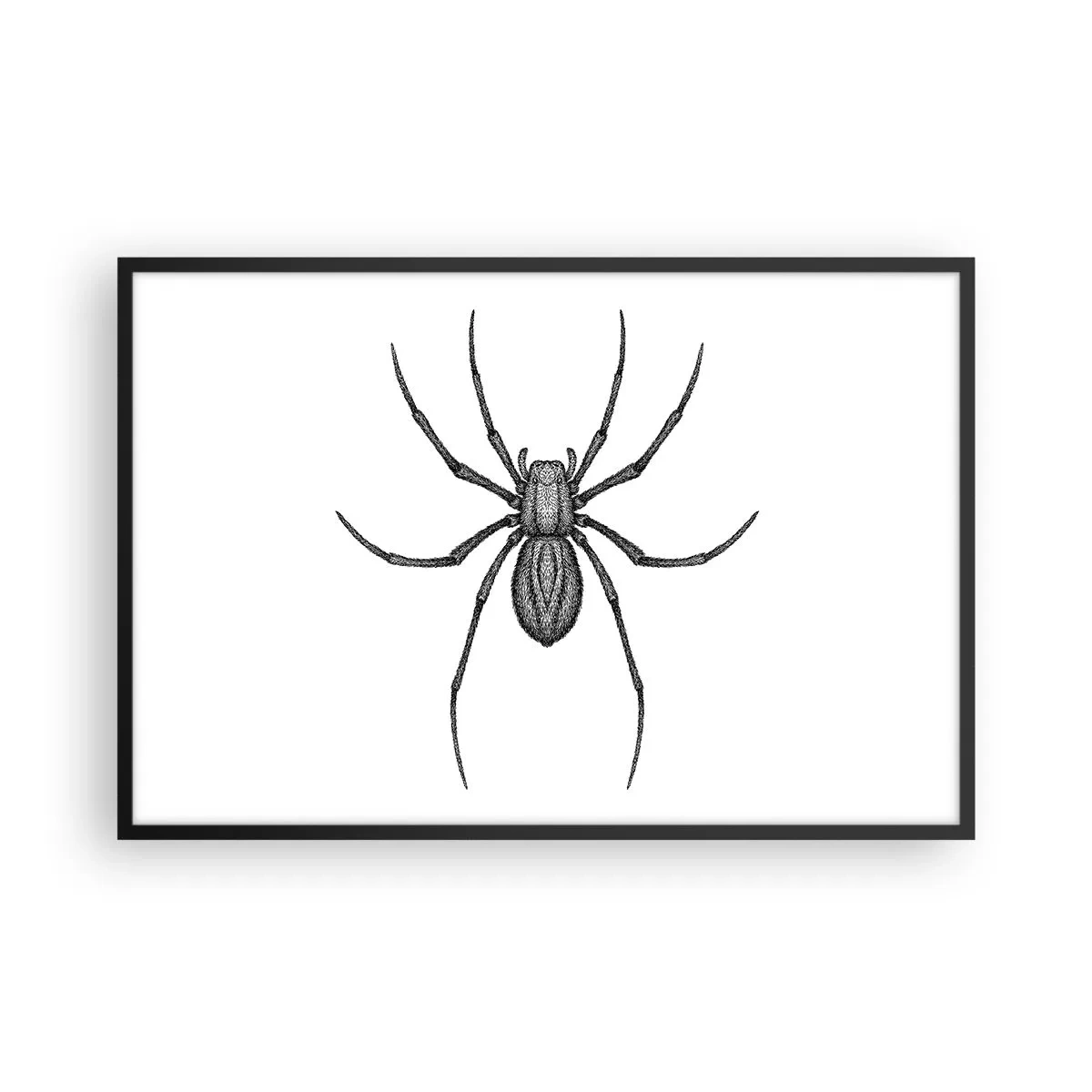 Affiche dans un cadre noir - Poster - Une précision troublante - 91x61 cm