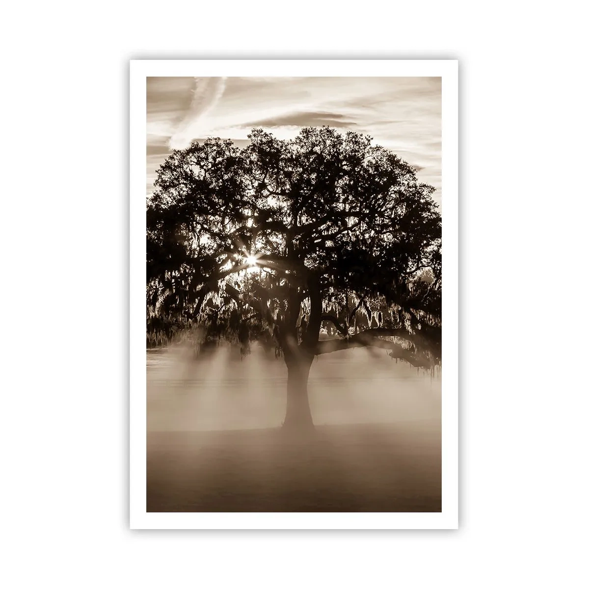 Affiche - Poster - Arbre de bonnes nouvelles - 70x100 cm