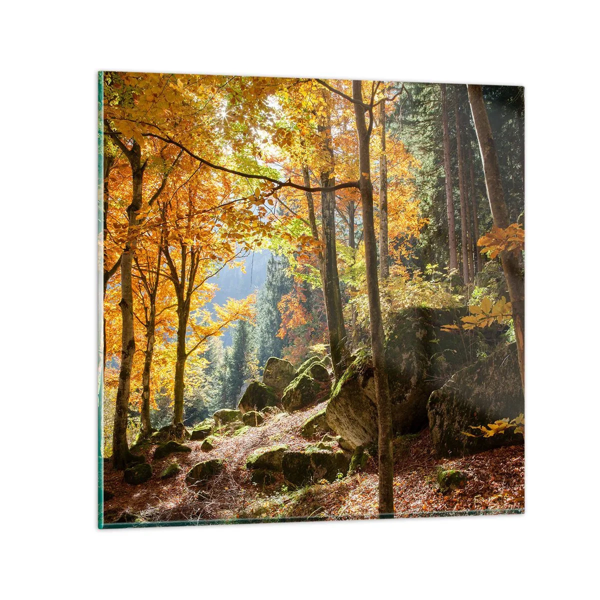 Impression sur verre - Image sur verre - Il est temps de se détendre - 50x50 cm