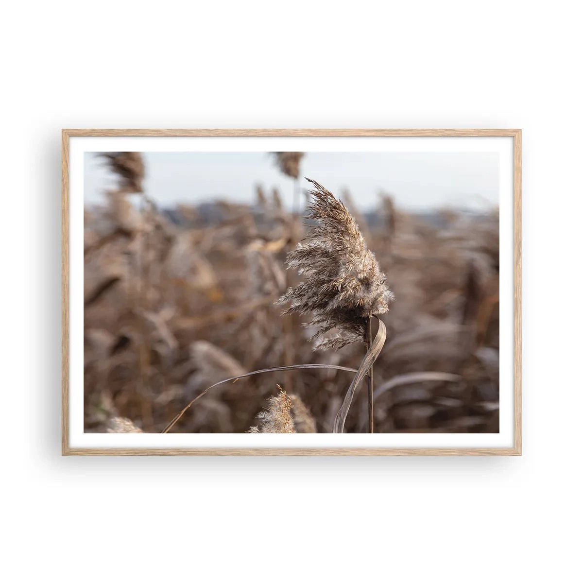 Affiche dans un chêne clair - Poster - Il est temps de s'envoler avec le vent - 100x70 cm