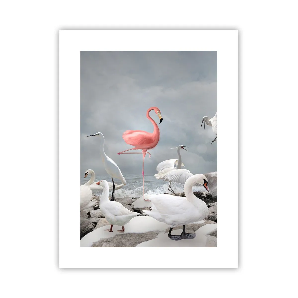 Affiche - Poster - Comment suis-je arrivé là? - 30x40 cm