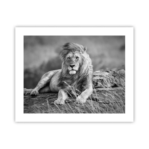 Affiche - Poster - Sieste royale - 50x40 cm