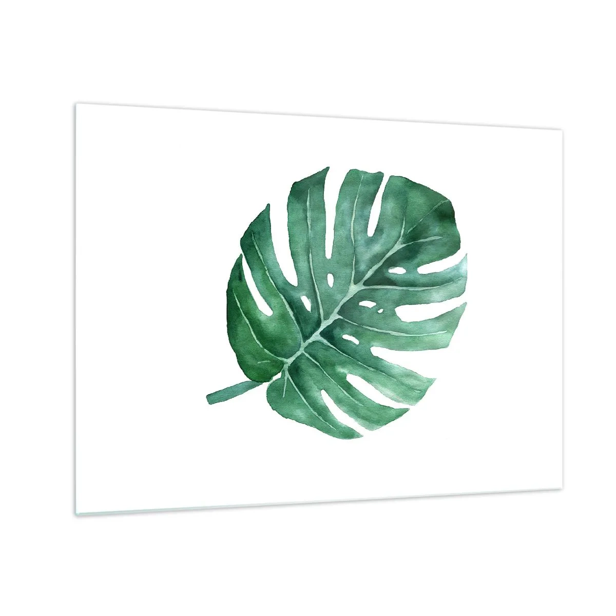 Impression sur verre - Image sur verre - Feuille de monstera verte sur fond blanc - 70x50cm - Concept vert - Décoration murale moderne pour le salon et la chambre ARTTOR