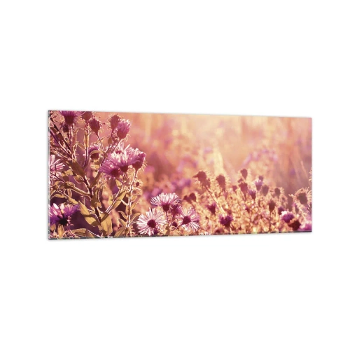 Impression sur verre - Image sur verre - Prairie à la lumière du soleil couchant - 120x50cm - Avant que l'été ne parte - Décoration murale moderne pour le salon et la chambre ARTTOR