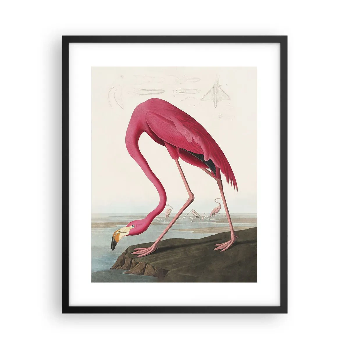 Affiche dans un cadre noir - Poster - Création étonnante - 40x50 cm