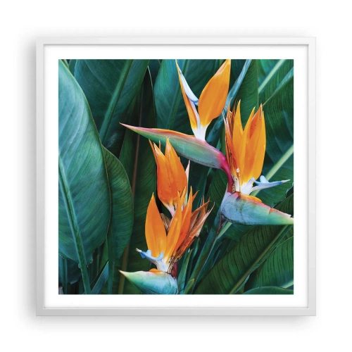 Affiche dans un cadre blanc - Poster - Est-ce une fleur, est-ce un oiseaux? - 60x60 cm