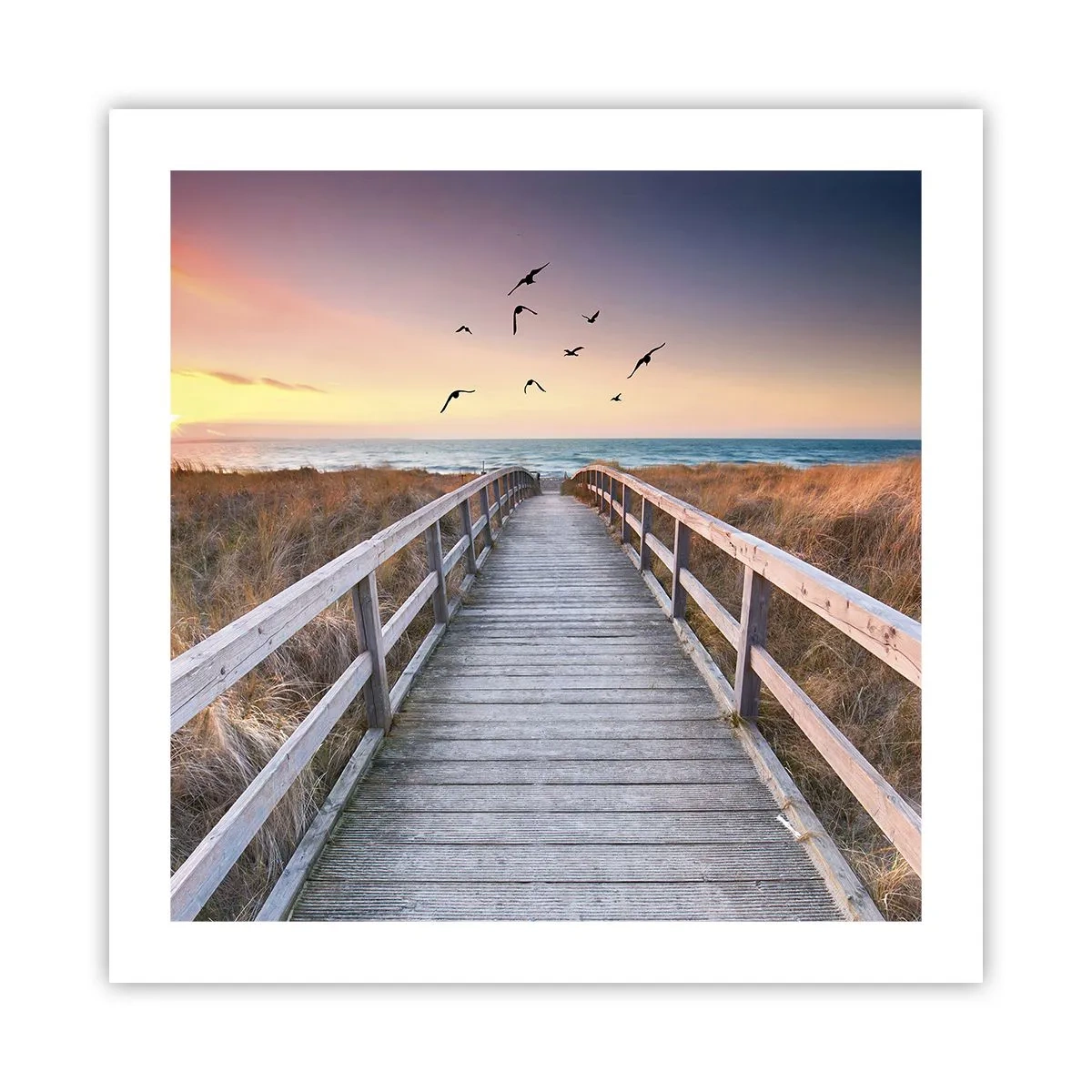 Affiche - Poster - Envol des espaces - 50x50 cm