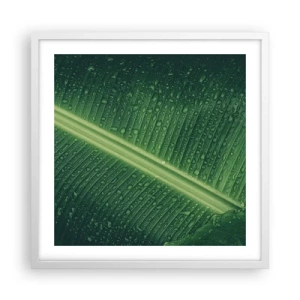 Affiche dans un cadre blanc - Poster - Structure de vert - 50x50 cm