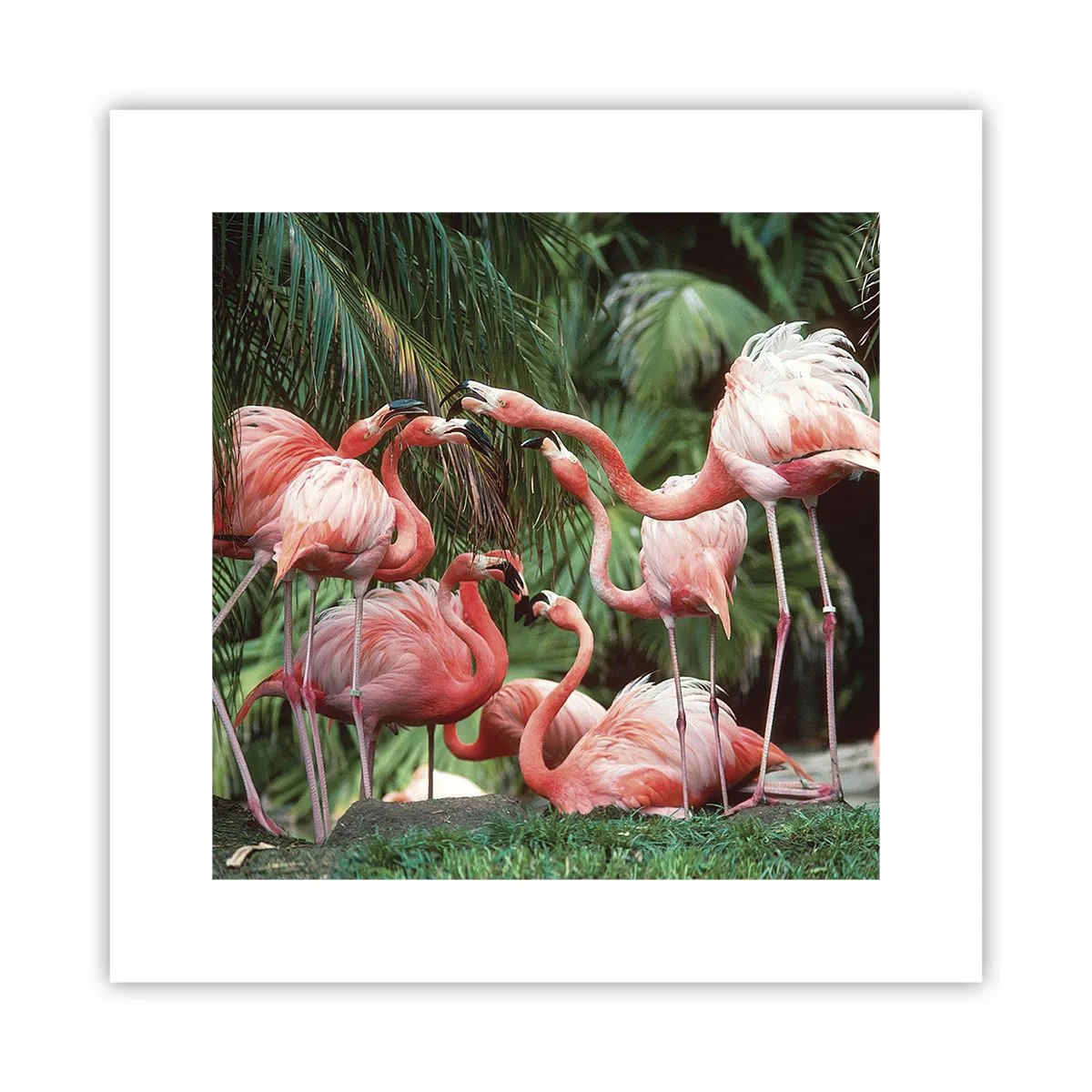 Affiche - Poster - Potins d'après-midi - 30x30 cm