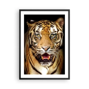Affiche dans un cadre noir - Poster - Portrait d'un tigre sur fond noir - 50x70cm - Le coeur sauvageon - Décoration murale moderne pour le salon et la chambre ARTTOR