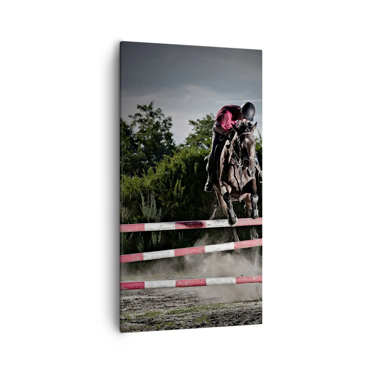 Impression sur toile - Image sur toile - Ensemble pour la victoire - 55x100 cm