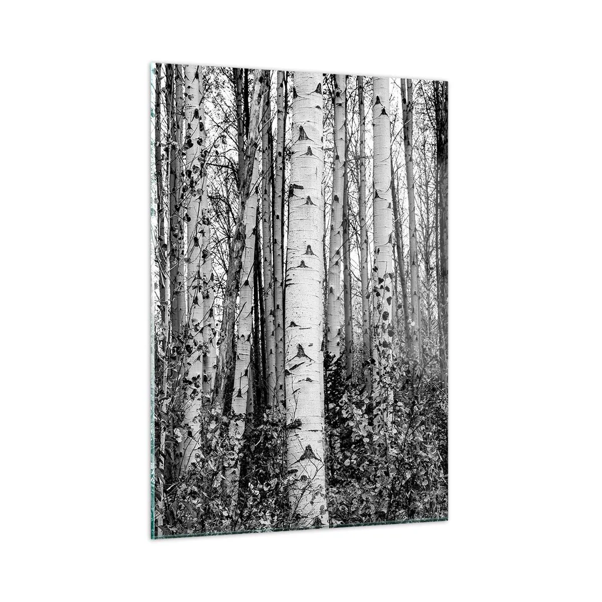 Impression sur verre - Image sur verre - Les bouleaux noirs et blancs créent un paysage forestier dense - 50x70cm - Enchevêtrement de bouleau - Décoration murale moderne pour le salon et la chambre ARTTOR