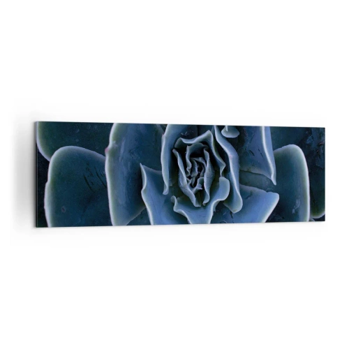 Impression sur toile - Image sur toile - Gros plan d'une rosette succulente verte - 160x50cm - Fleur du désert - Décoration murale moderne pour le salon et la chambre ARTTOR