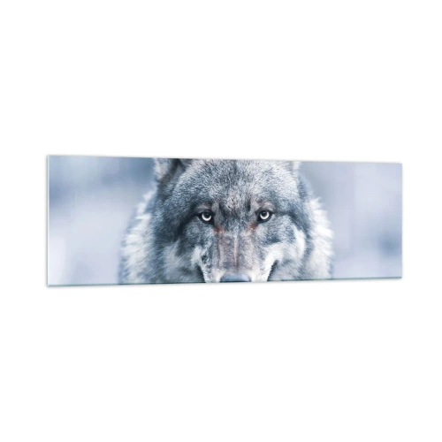 Impression sur verre - Image sur verre - Un loup au regard intense dans un paysage hivernal - 160x50cm - Relèverez-vous le défi ? - Décoration murale moderne pour le salon et la chambre ARTTOR