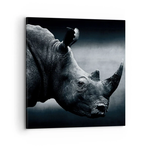 Impression sur toile - Image sur toile - Le profil droit - 70x70 cm