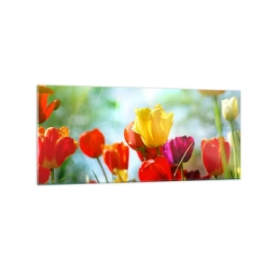 Impression sur verre - Image sur verre - Tulipes colorées au soleil - 120x50cm - Toutes les couleurs du soleil - Décoration murale moderne pour le salon et la chambre ARTTOR