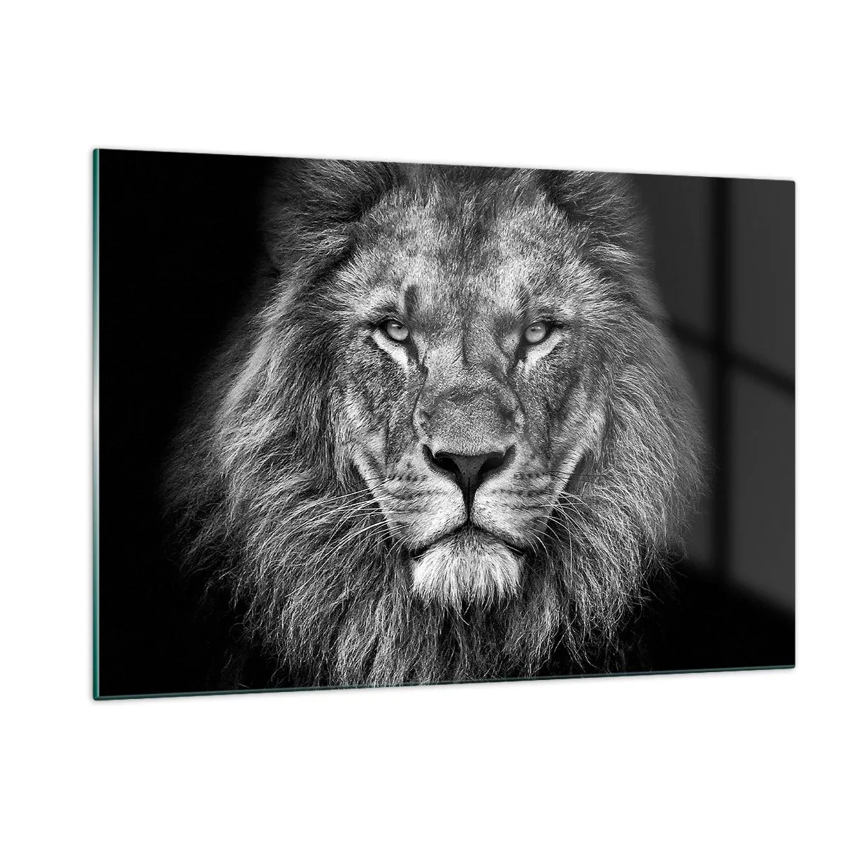 Impression sur verre - Image sur verre - Portrait d'un lion en noir et blanc avec une crinière majestueuse - 120x80cm - En vêtement de sacre - Décoration murale moderne pour le salon et la chambre ARTTOR