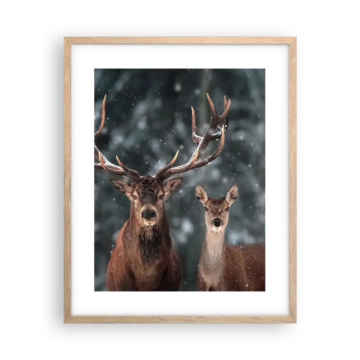 Affiche dans un chêne clair - Poster - Le roi de la forêt avec sa femme - 40x50 cm