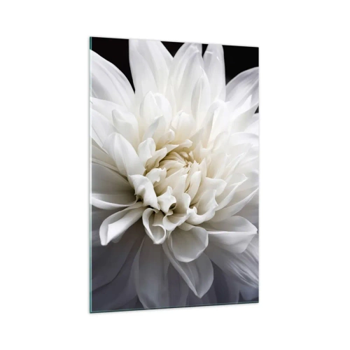 Impression sur verre - Image sur verre - Une délicate fleur blanche sur fond noir dans une composition élégante - 70x100cm - Le matin de la jeune mariéé - Décoration murale moderne pour le salon et la chambre ARTTOR