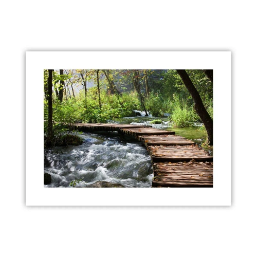 Affiche - Poster - Au-dessus de la cascade mousseuse - 40x30 cm