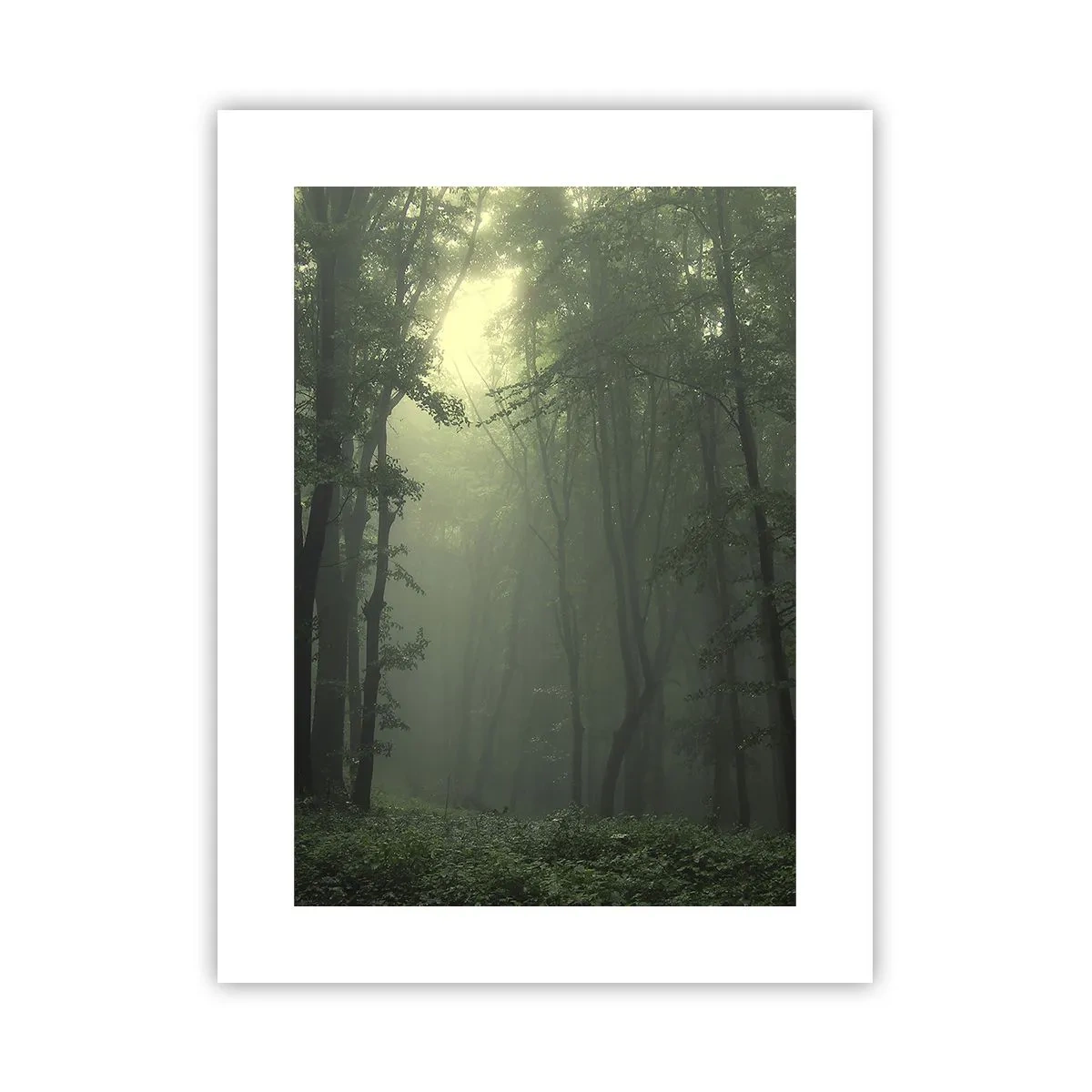 Affiche - Poster - Avant qu'il ne se réveille - 30x40 cm