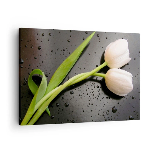 Impression sur toile - Image sur toile - Tulipes blanches sur fond noir avec des gouttes d'eau - 70x50cm - Tissage de printemps - Décoration murale moderne pour le salon et la chambre ARTTOR