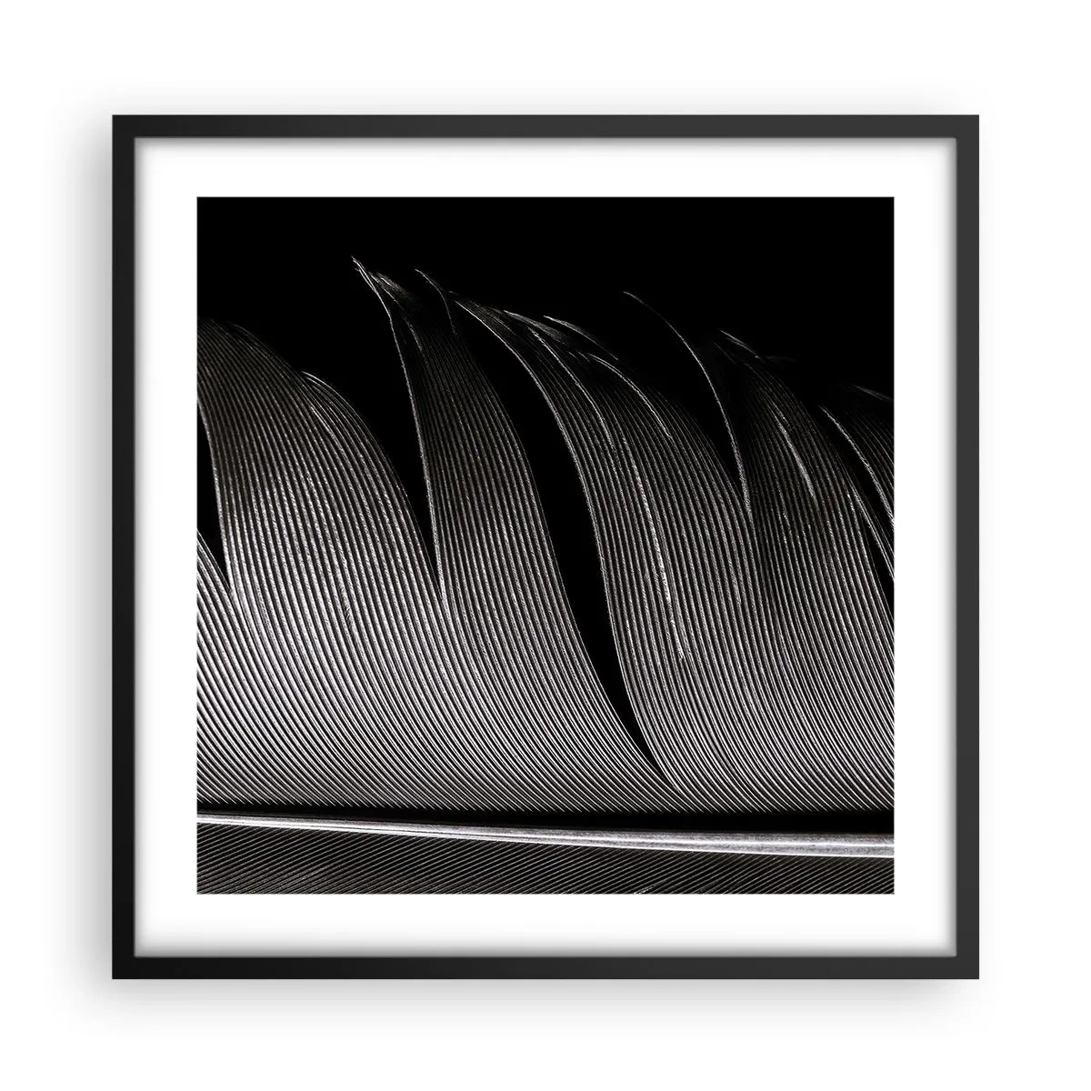 Affiche dans un cadre noir - Poster - La plume – un design magnifique - 50x50 cm