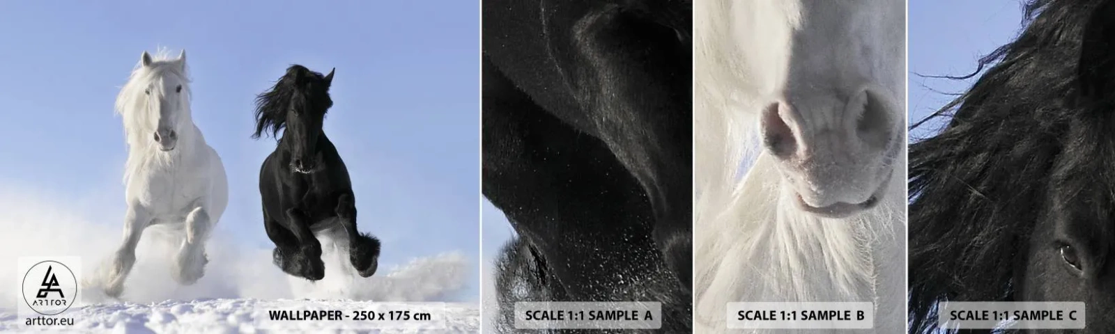 Échantillon de Papier Peint Autocollant Deluxe Sticker - Galop noir et blanc - Animaux, Cheval, Hiver - 100x30 cm