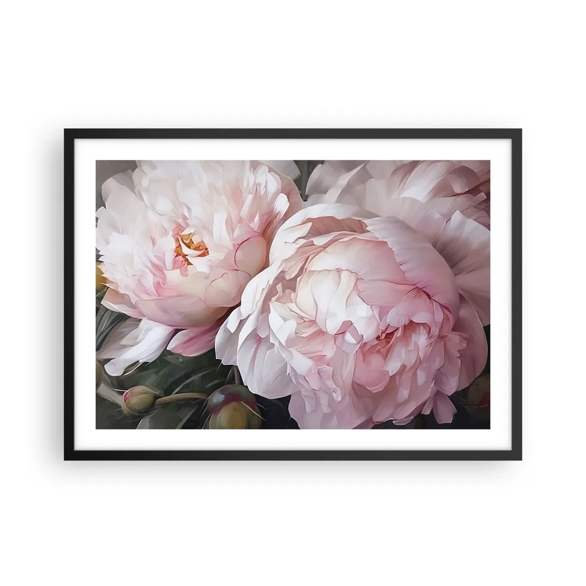 Affiche dans un cadre noir - Poster - Pivoines roses délicates en pleine floraison - 70x50cm - Arrêté en pleine floraison - Décoration murale moderne pour le salon et la chambre ARTTOR