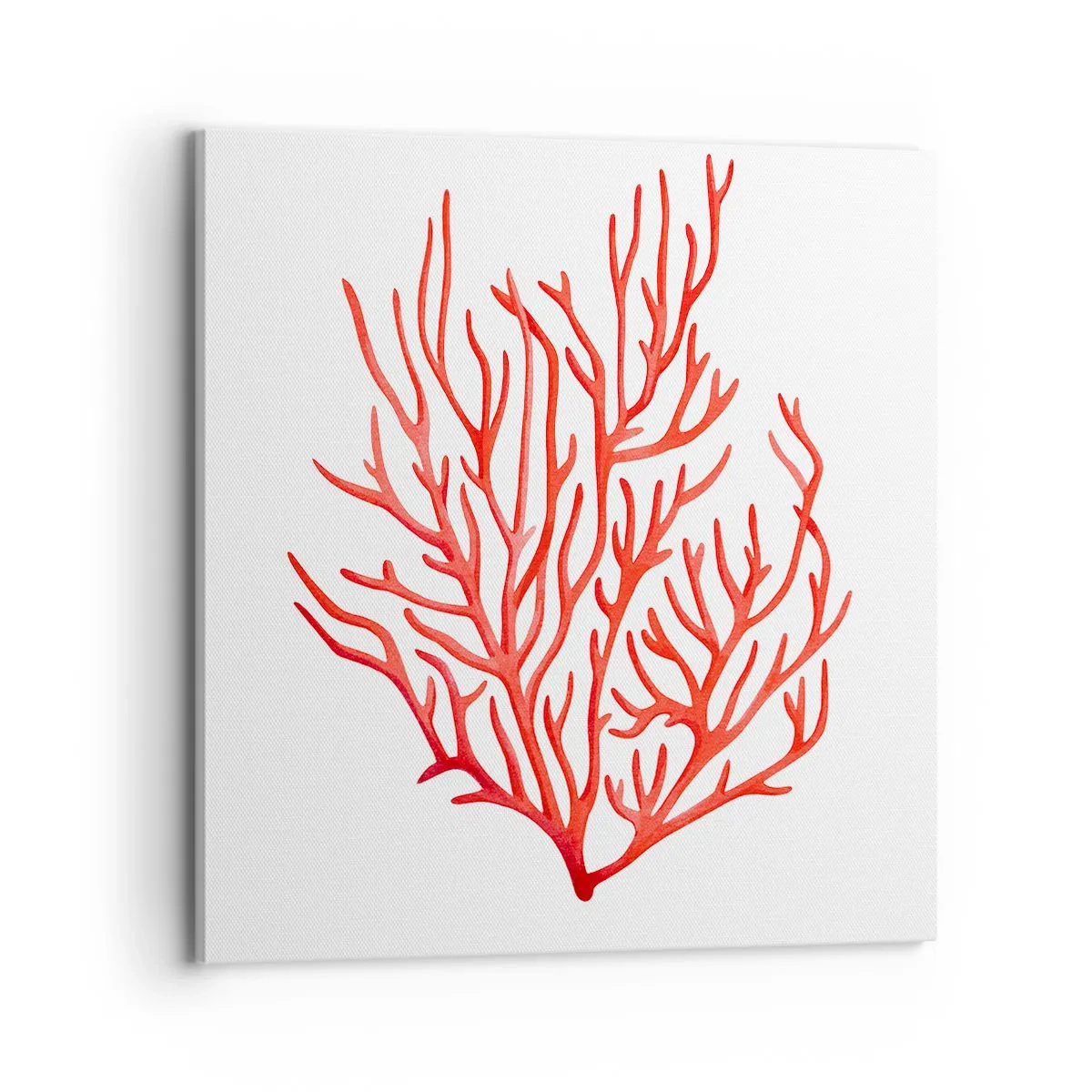 Impression sur toile - Image sur toile - Filigrane de corail - 70x70 cm