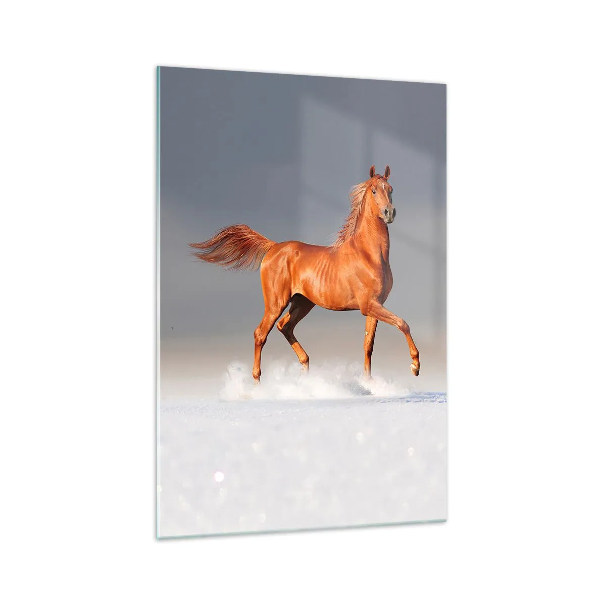 Impression sur verre - Image sur verre - Un cheval au galop contre un ciel bleu - 70x100cm - La grâce dansante - Décoration murale moderne pour le salon et la chambre ARTTOR