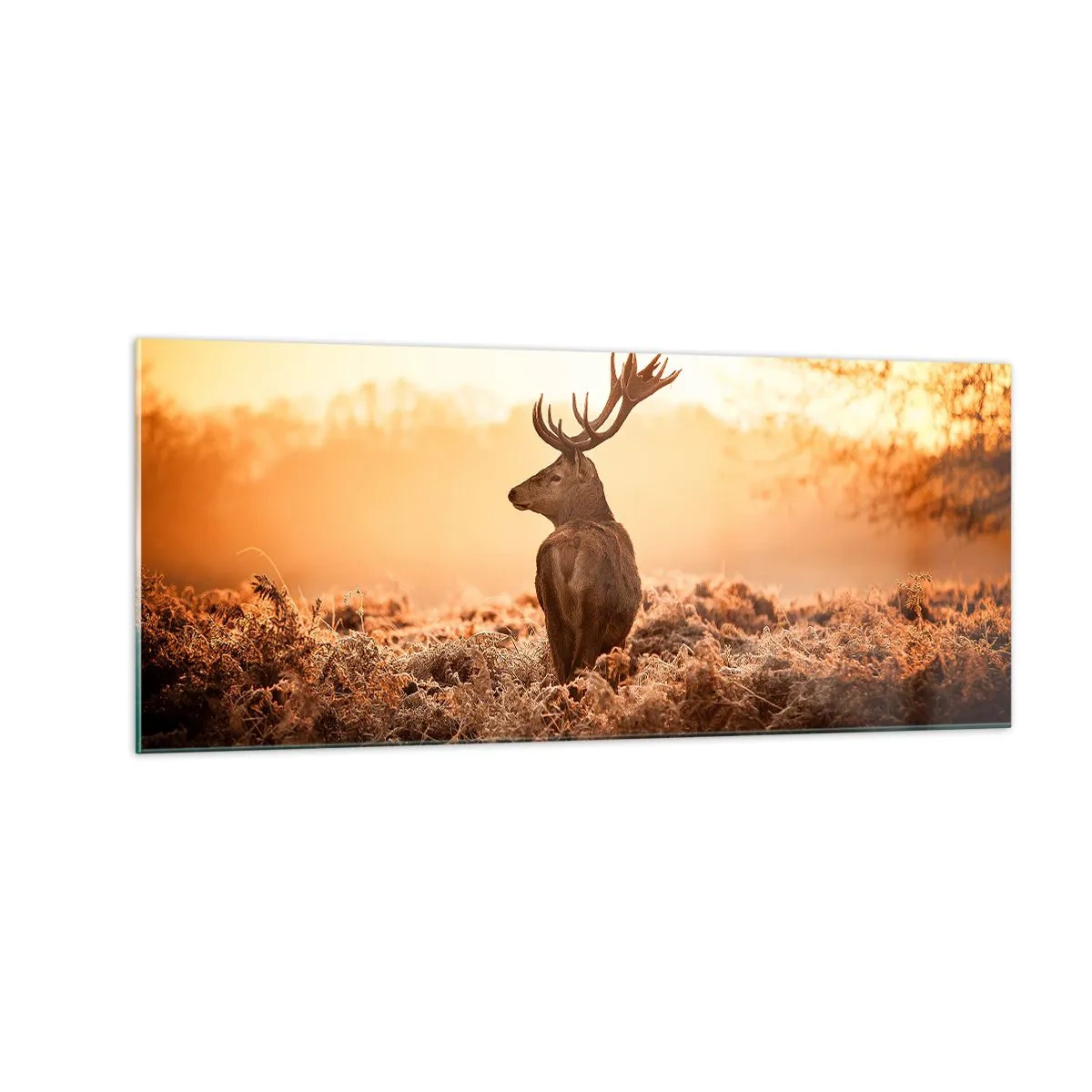 Impression sur verre - Image sur verre - Seigneur du domaine - 100x40 cm