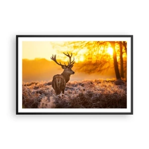 Affiche dans un cadre noir - Poster - Roi de la forêt automnal - 91x61 cm