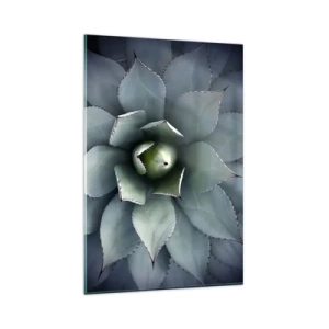 Impression sur verre - Image sur verre - Gros plan d'une rosette d'agave aux délicates nuances de vert - 80x120cm - Wabi et observe - Décoration murale moderne pour le salon et la chambre ARTTOR