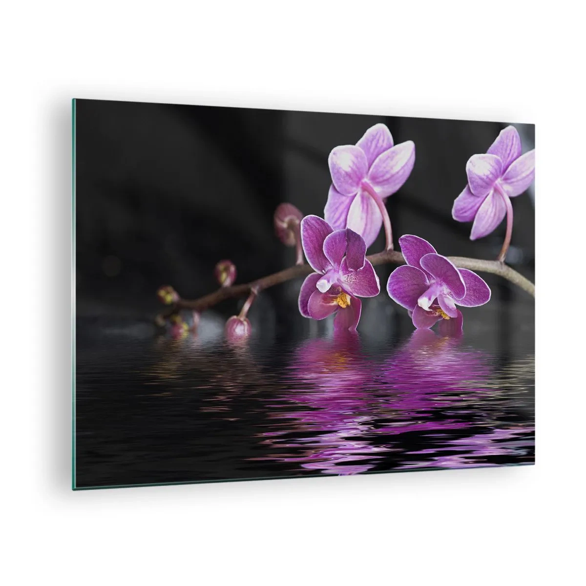 Impression sur verre - Image sur verre - Orchidées violettes se reflétant dans l'eau - 70x50cm - Reflet lilas de la beauté - Décoration murale moderne pour le salon et la chambre ARTTOR