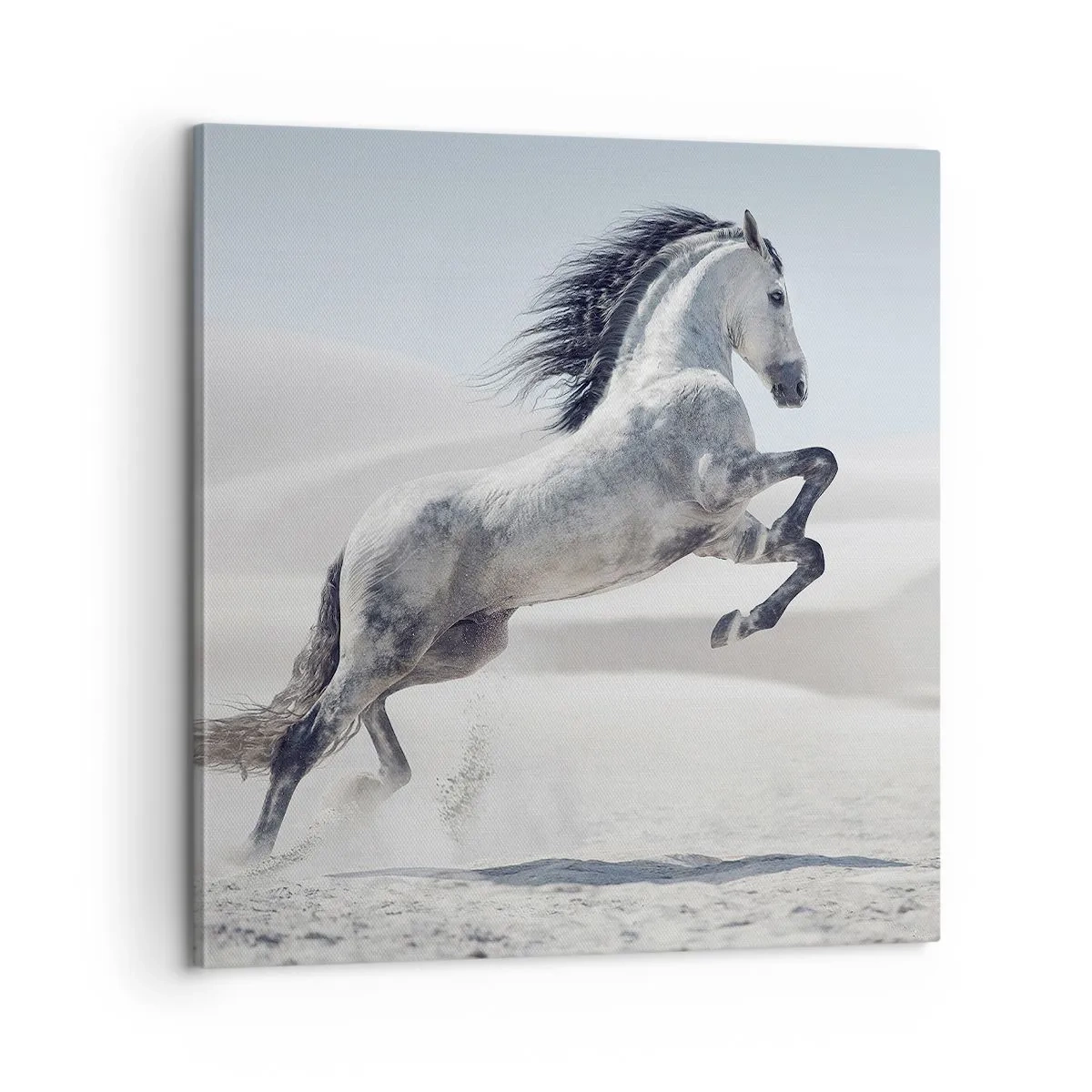 Impression sur toile - Image sur toile - Prince arabe - 60x60 cm