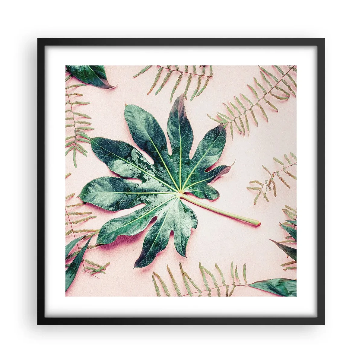 Affiche dans un cadre noir - Poster - Étude de verdure sur fond rose - 50x50 cm