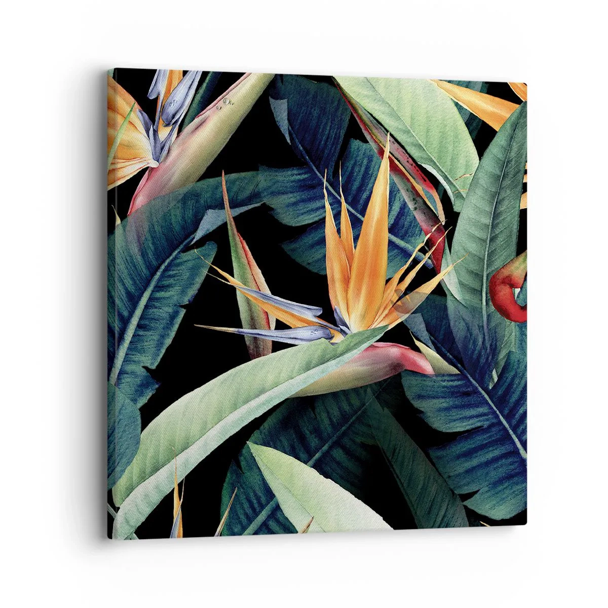 Impression sur toile - Image sur toile - Fleurs flamboyantes des tropiques - 30x30 cm
