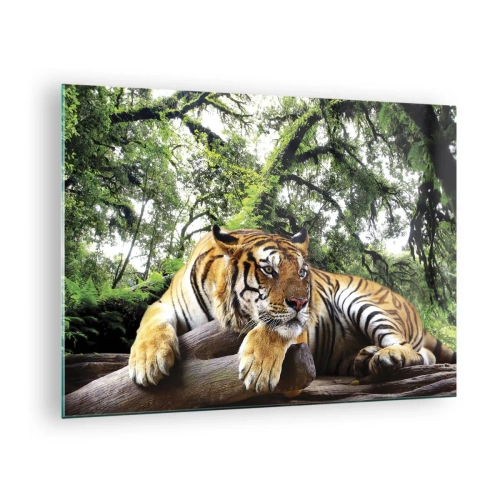 Impression sur verre - Image sur verre - Un tigre se reposant dans une forêt tropicale verte - 70x50cm - Cordialement - Décoration murale moderne pour le salon et la chambre ARTTOR