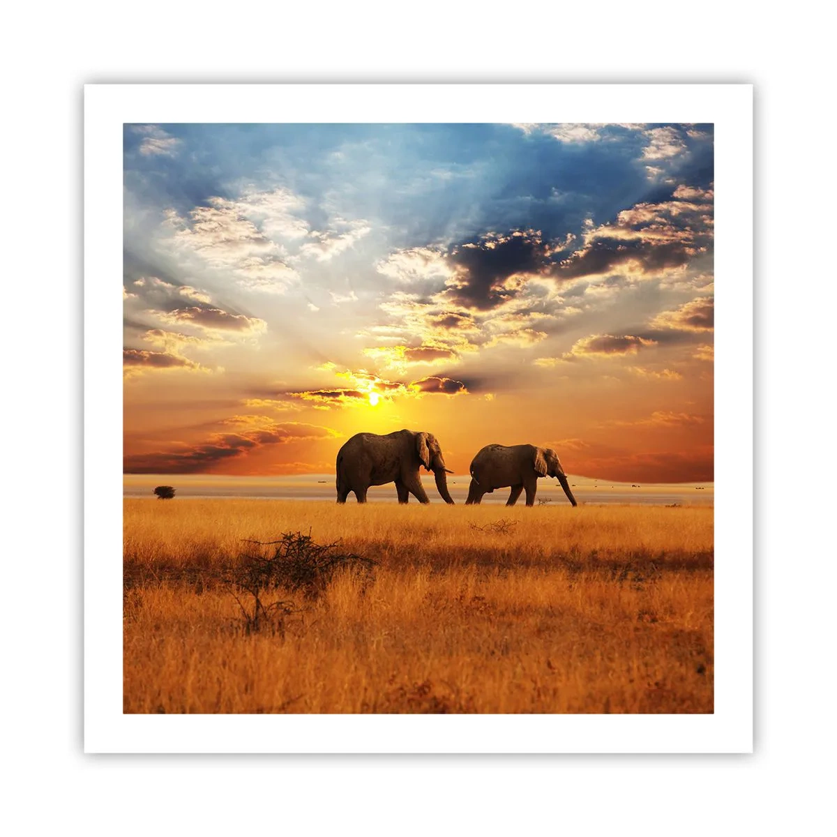 Affiche - Poster - Déambulation familliale - 60x60 cm