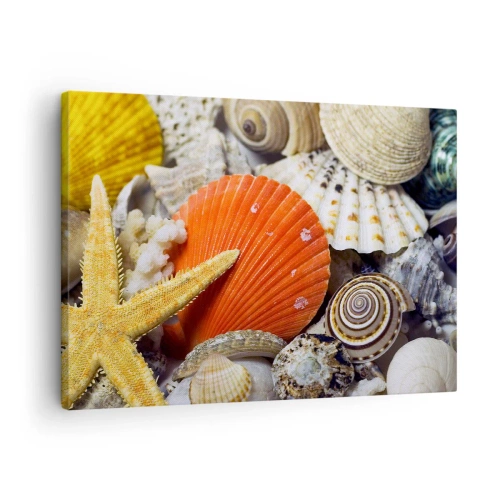 Impression sur toile - Image sur toile - Coquillages et étoiles de mer dans une composition marine - 70x50cm - Trésors de l'océan - Décoration murale moderne pour le salon et la chambre ARTTOR