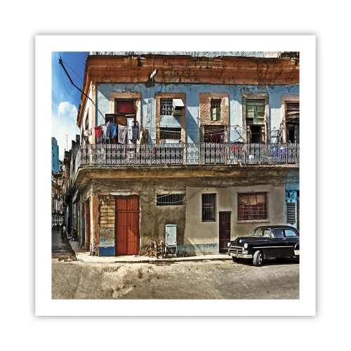 Affiche - Poster - Climat hawaïen - 60x60 cm
