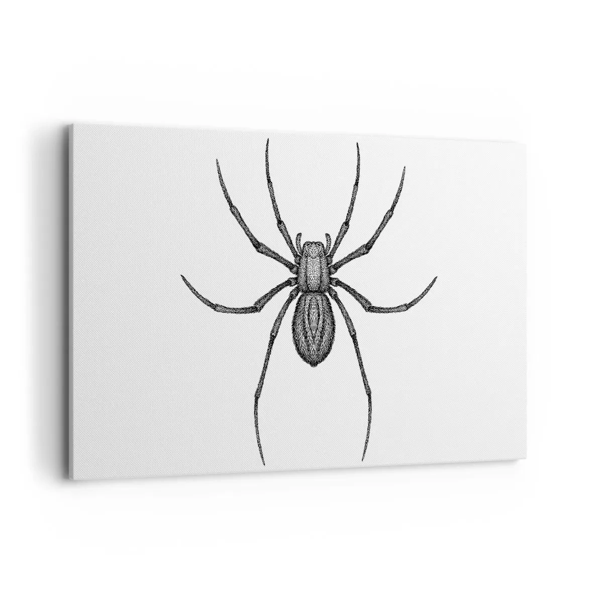 Impression sur toile - Image sur toile - Détail d'une araignée sur fond blanc dans un style dessin animé - 120x80cm - Une précision troublante - Décoration murale moderne pour le salon et la chambre ARTTOR