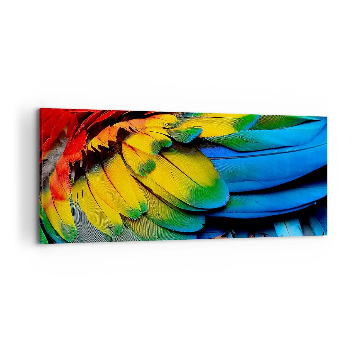 Impression sur toile - Image sur toile - Gros plan des plumes colorées d'un perroquet - 120x50cm - Oiseau de paradis - Décoration murale moderne pour le salon et la chambre ARTTOR