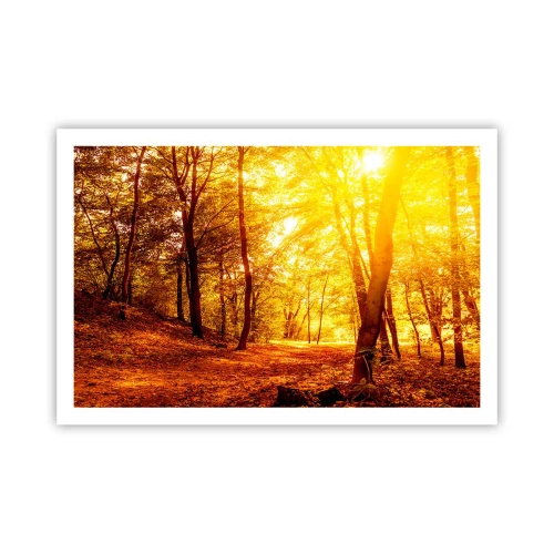 Affiche - Poster - Vers la clairière dorée - 91x61 cm